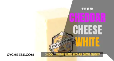 Why Cheddar Cheese Often Appears White: Unraveling the Mystery