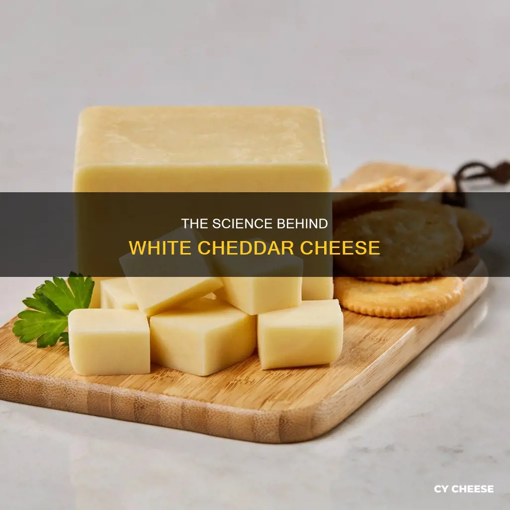 why is my cheddar cheese white