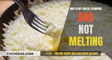 Cheese Clumping: Melting Mistakes and How to Fix Them