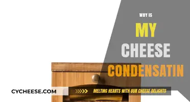 Why Does My Cheese Condensate? Understanding Moisture in Cheese Storage