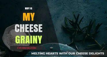 Why Is My Cheese Grainy? Causes and Solutions Explained
