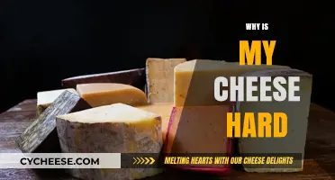 Why Is My Cheese Hard? Causes and Solutions for Hardened Cheese