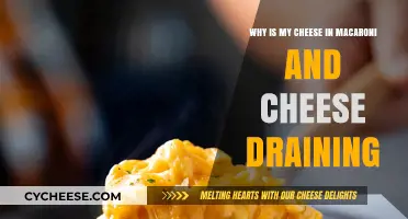 Mac and Cheese: Why Does Cheese Drain?
