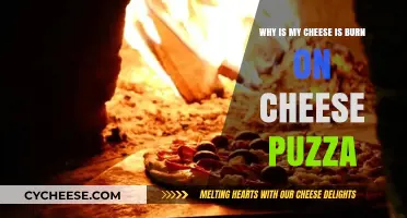 Preventing Burnt Cheese: Tips for Perfectly Melty Pizza Every Time