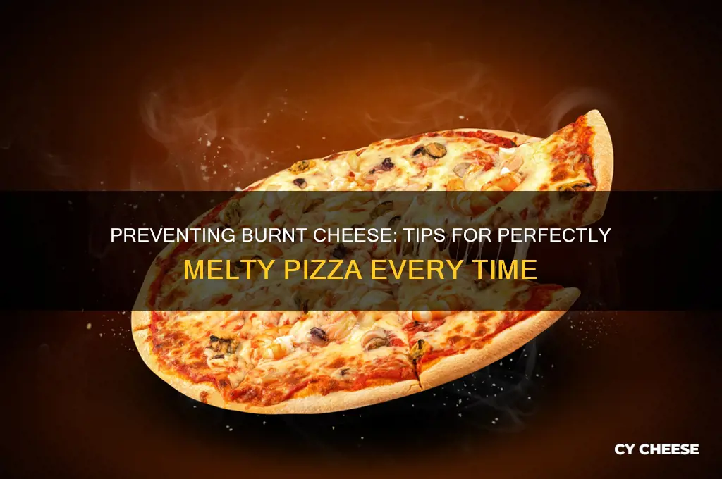 why is my cheese is burn on cheese puzza