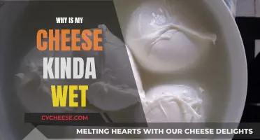 Cheese Moisture: Why It's Wet and What to Do