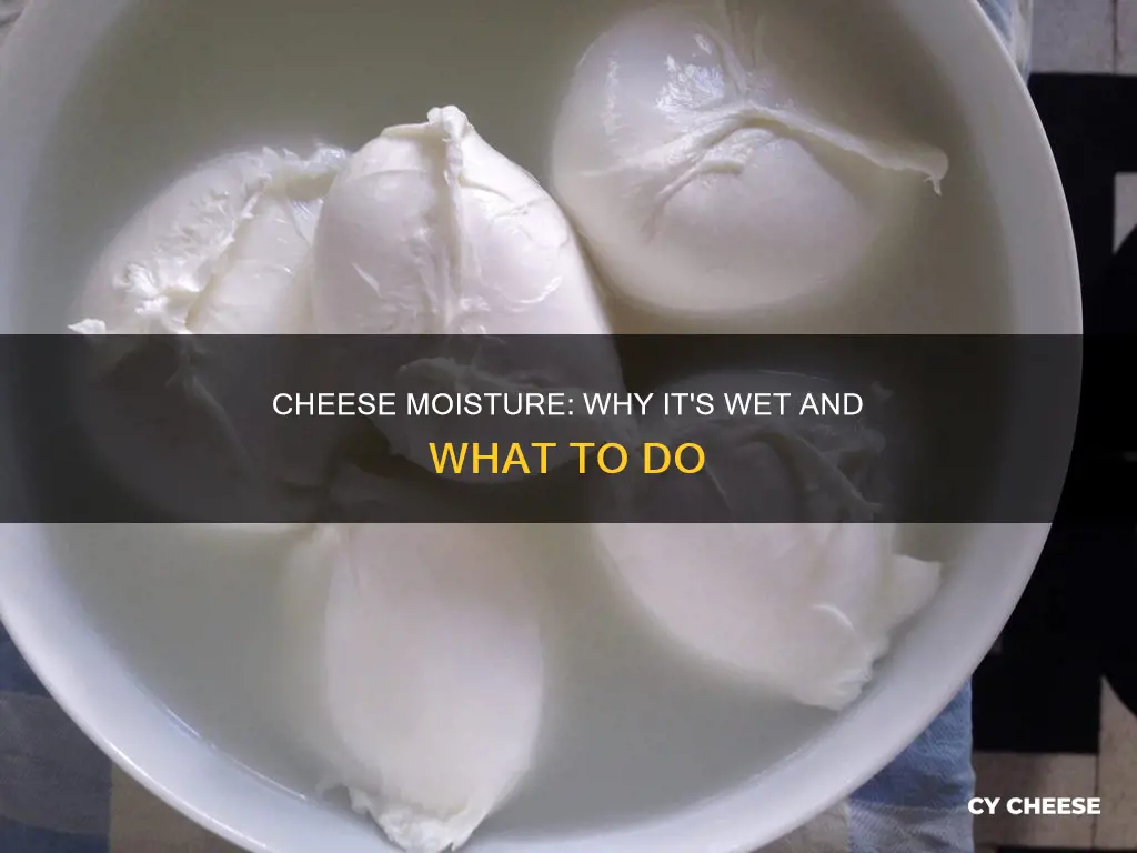 why is my cheese kinda wet