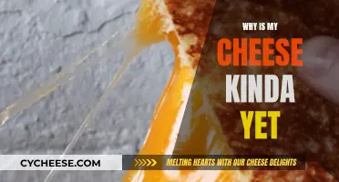 Cheese Conundrum: Why is it Kinda Wet?