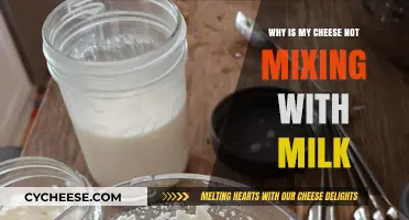 Troubleshooting Cheese and Milk Mixture: Common Issues and Solutions