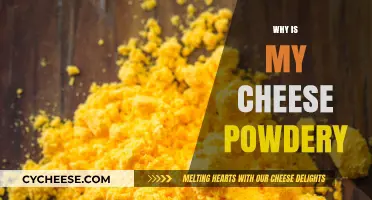 Why Is My Cheese Powdery? Causes and Solutions Explained