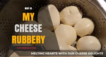 Why Is My Cheese Rubbery? Common Causes and Quick Fixes