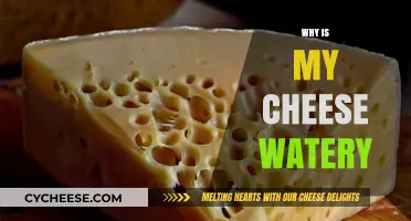 Why Is My Cheese Watery? Causes and Solutions Explained