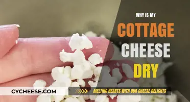 Why Is My Cottage Cheese Dry? Causes and Solutions Explained
