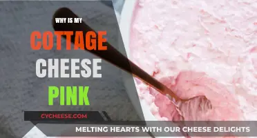 Why Is My Cottage Cheese Pink? Causes and Solutions Explained
