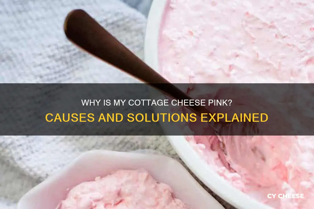 why is my cottage cheese pink