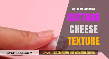 Understanding Cottage Cheese-Like Discharge: Causes, Concerns, and When to Seek Help