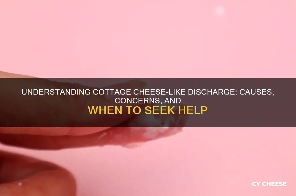why is my discharge cottage cheese texture