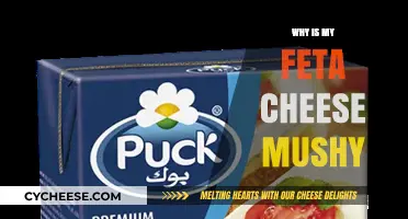 Feta Cheese Gone Mushy: What's the Reason?