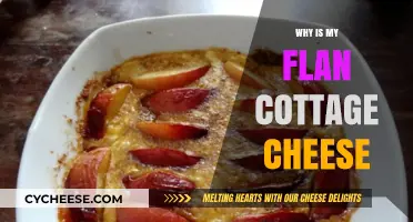 Why Does My Flan Have a Cottage Cheese Texture? Explained