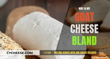 Unraveling the Mystery: Why Your Goat Cheese Lacks Flavor