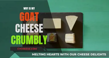 The Crumbly Conundrum: Unraveling the Mystery of Your Goat Cheese