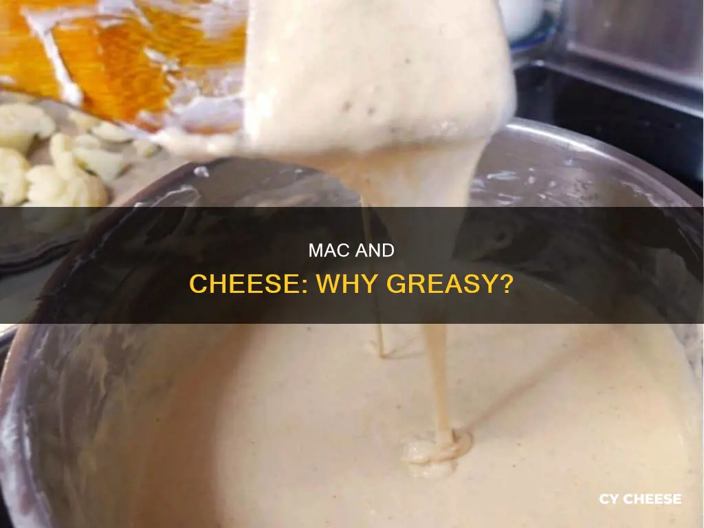 why is my macaroni and cheese greasy