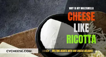 Mozzarella's Ricotta-like Texture: What's the Reason?