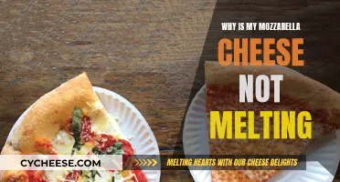Mozzarella Not Melting: What's the Issue?