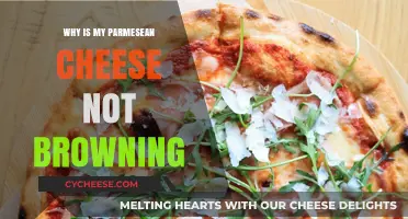 The Secret to Browning Parmesan Cheese