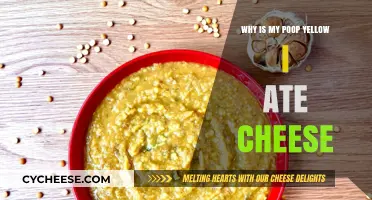 Yellow Poop After Cheese: Causes and What It Means for You