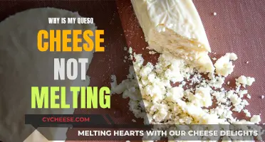 Queso Not Melting? Try These Troubleshooting Tips