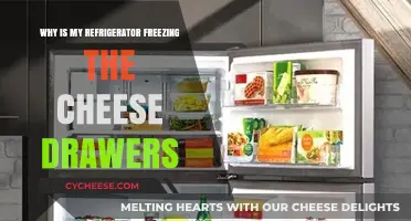 Why Is My Fridge Freezing Cheese? Troubleshooting Tips for Drawers
