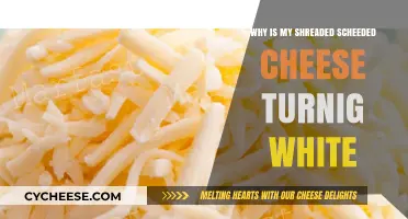 Why Shredded Cheese Turns White: Causes and Solutions Explained