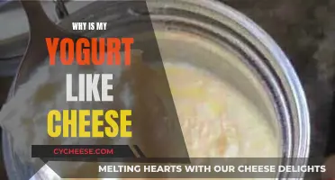 Yogurt's Cheesy Texture: What's the Science Behind It?