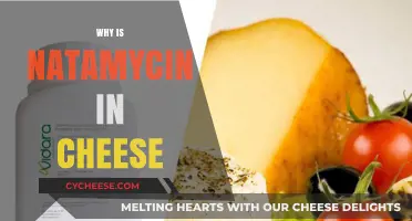Natamycin in Cheese: Benefits, Safety, and Its Role in Preservation