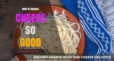 Oaxaca Cheese: Unraveling the Irresistible Flavor and Texture Secrets