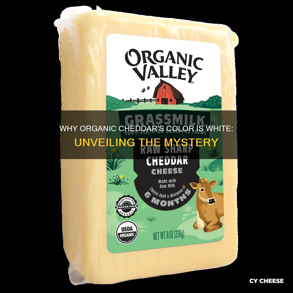 why is organic cheddar cheese white