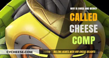 Why Orisa and Mercy's Cheese Comp Dominates Overwatch Matches