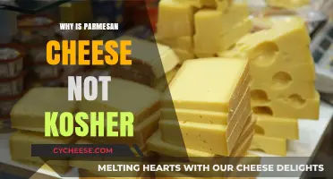 The Unkosher Truth About Parmesan Cheese
