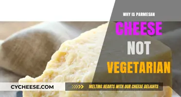 Parmesan Cheese: A Vegetarian's Dilemma