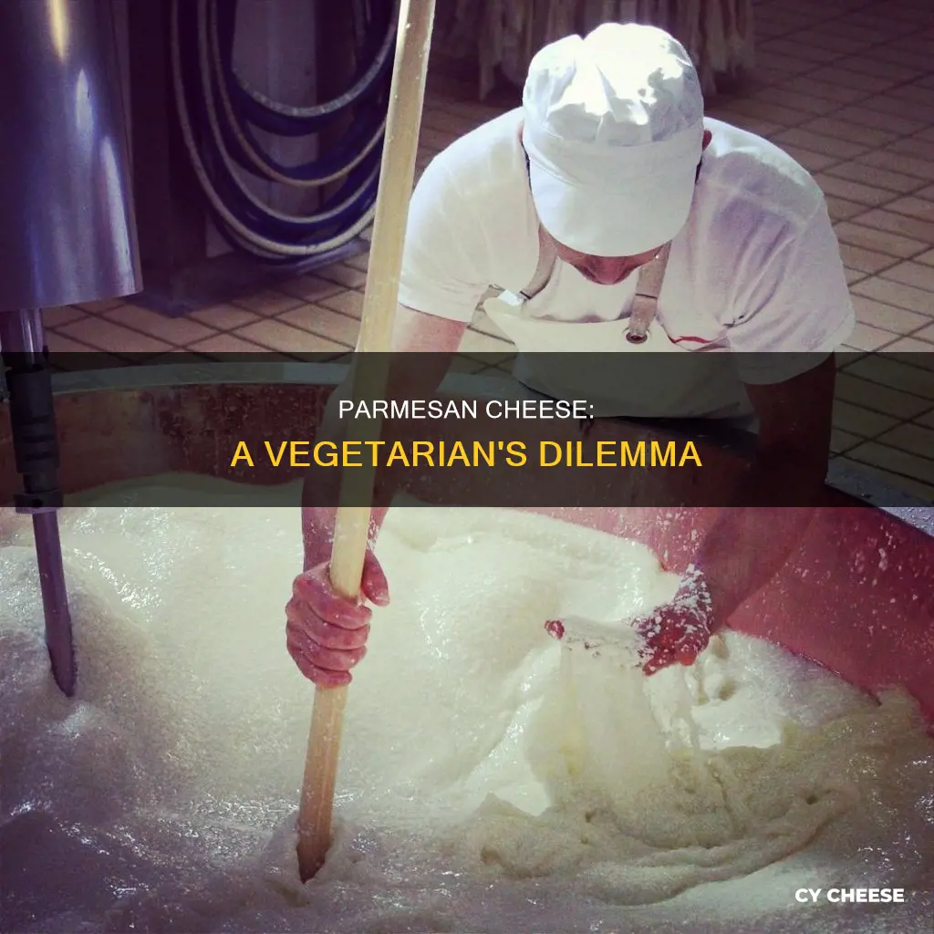 why is parmesan cheese not vegetarian