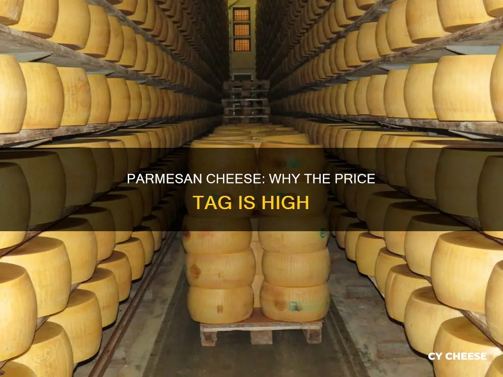 why is parmesan cheese so expensive business insider