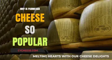 Parmesan Cheese: Why It's a Staple in Kitchens
