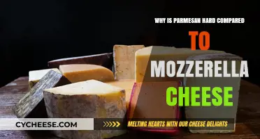 Parmesan vs Mozzarella: Why So Hard?