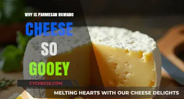 The Gooey Magic of Parmesan Romano Cheese