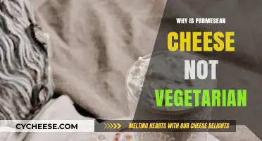 Parmesean Cheese: A Vegetarian's Dilemma
