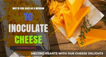 PDA Medium: The Secret to Cheesy Success