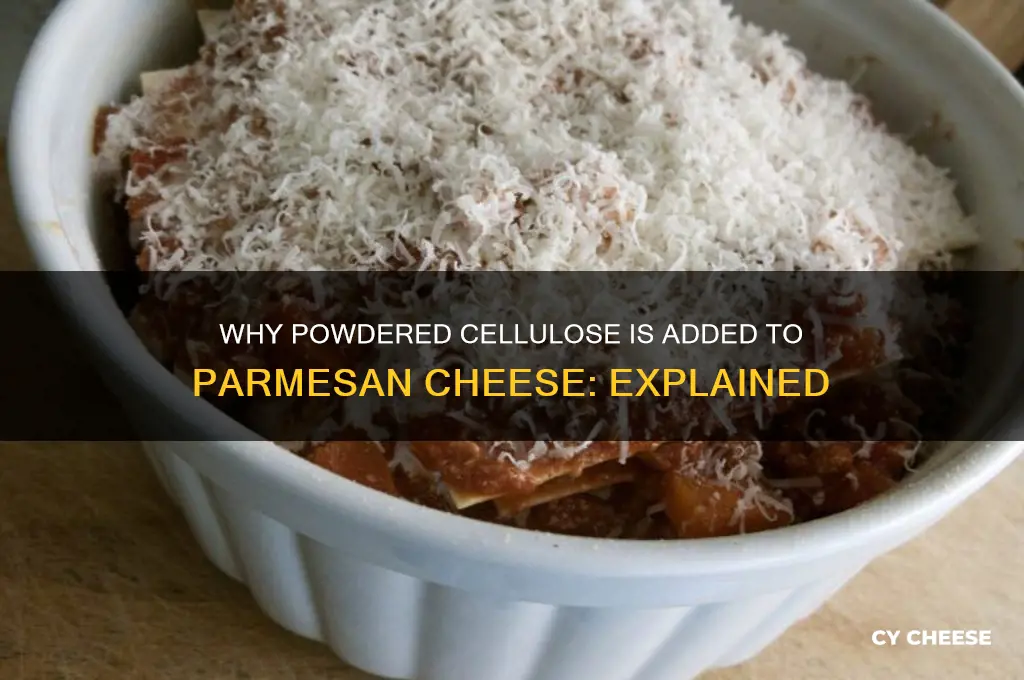 why is powdered cellulose added to parmesian cheese