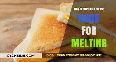 Processed Cheese: The Melting Marvel for Perfectly Gooey Dishes