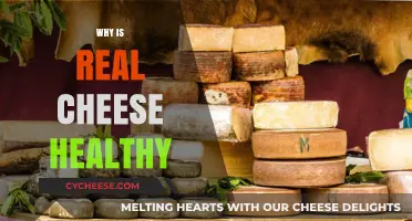 Cheese: Healthy, Nutritious, and Delicious